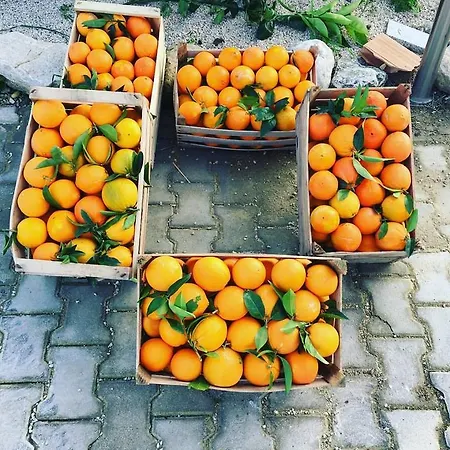 Tenuta Lanza Il Mulino Alloggio per agriturismo
